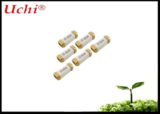 급행성 세라믹 피우스 2A 250V